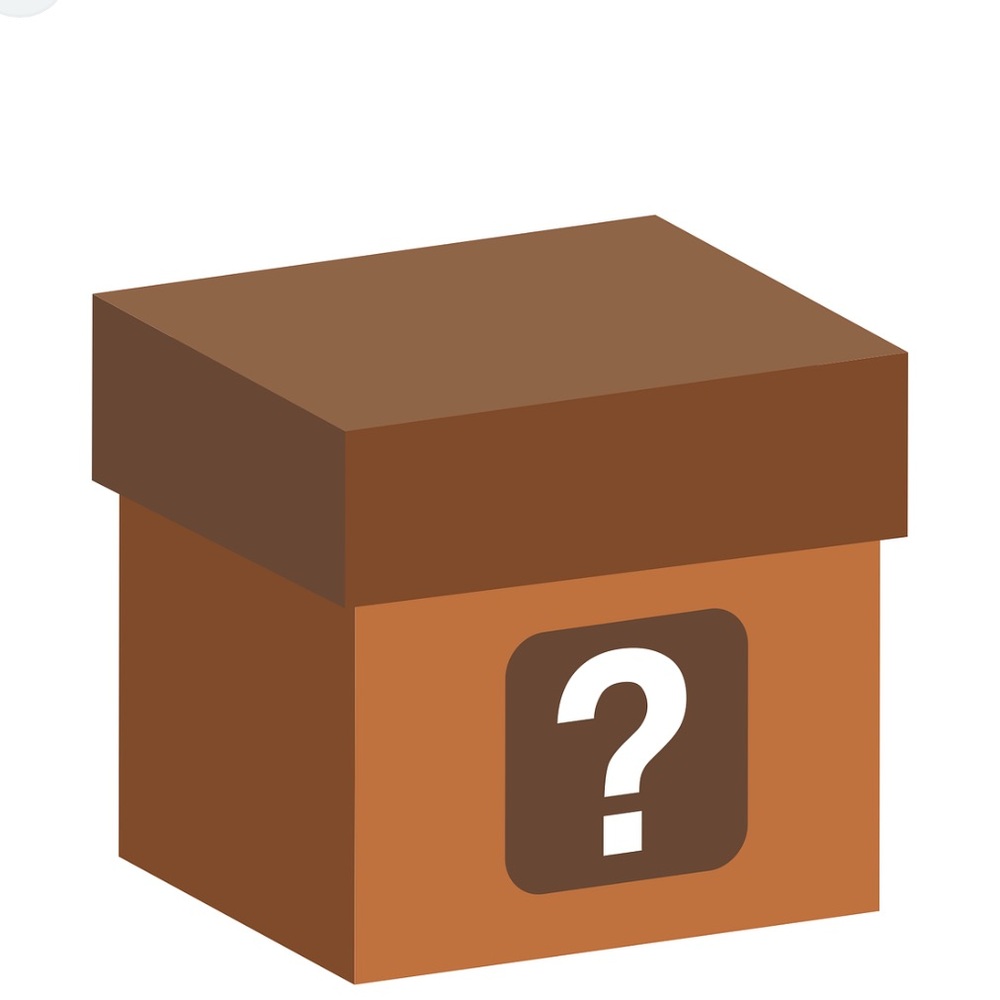 Mystery Box - 7 women’s clothing items